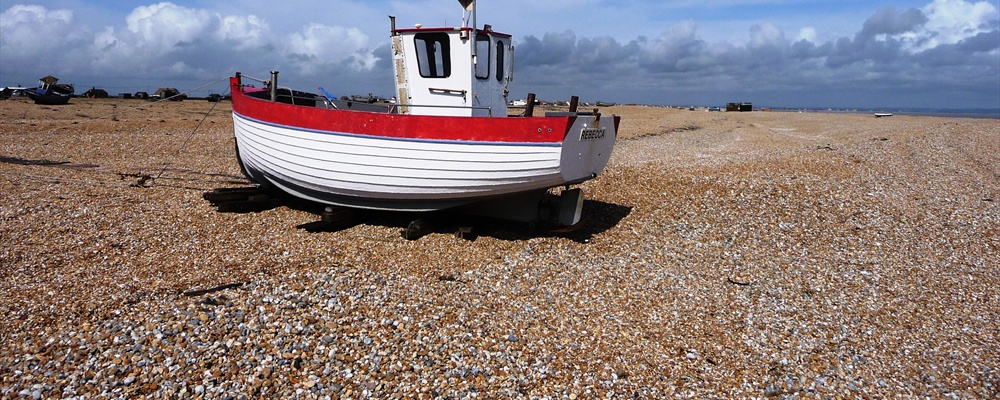 Dungeness